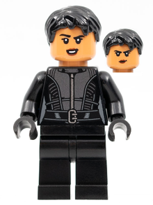 LEGO® Minifigure - Super Heroes: Batman - Selina Kyle - sh0788